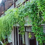 Riverside Plum Garden Homestay