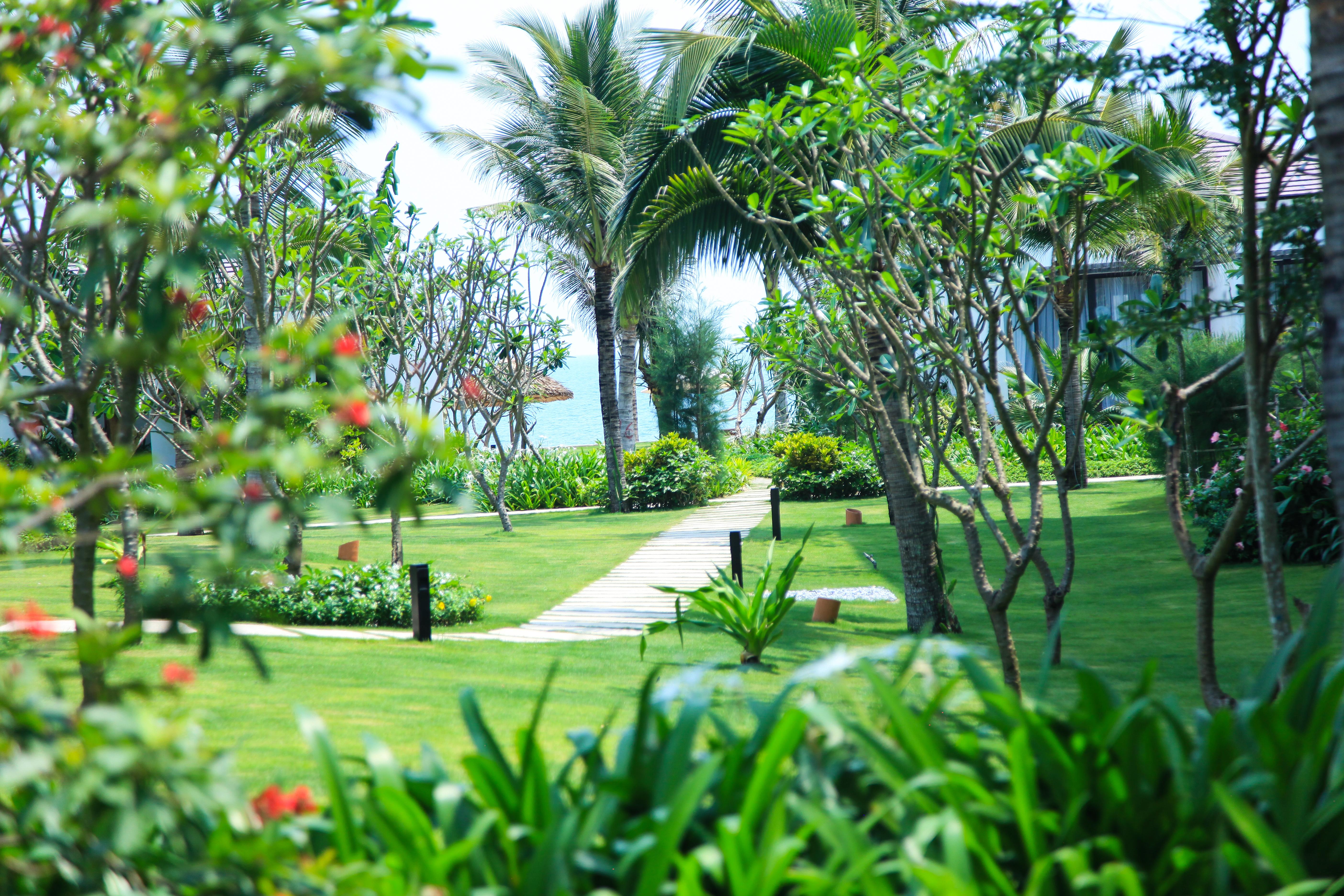 Sunrise Premium & Resort 5*