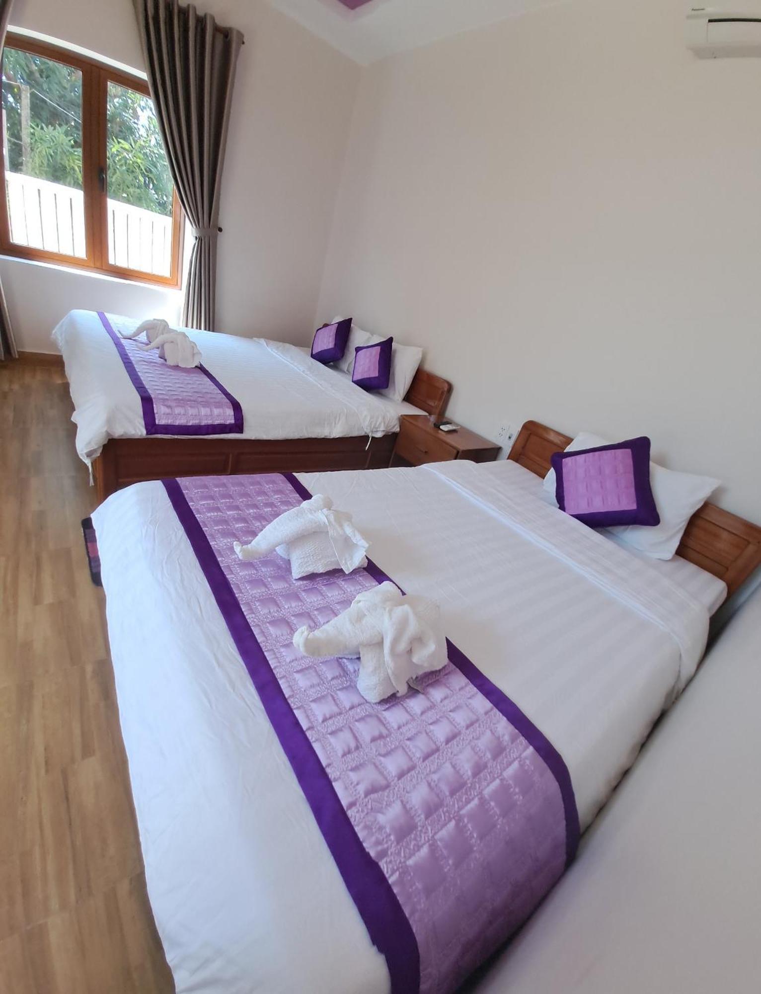 Pink House Homestay Hoi An