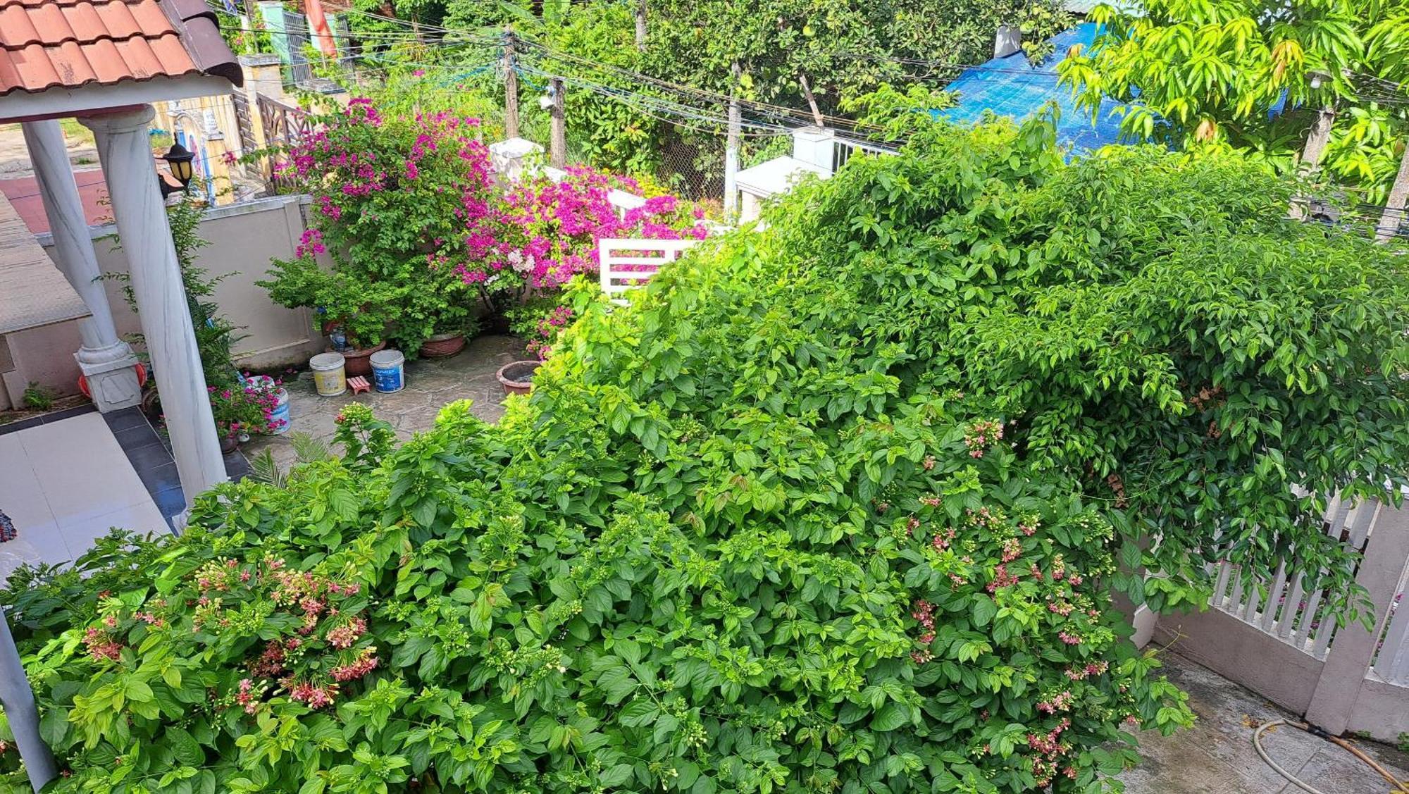 Pink House Hoi An