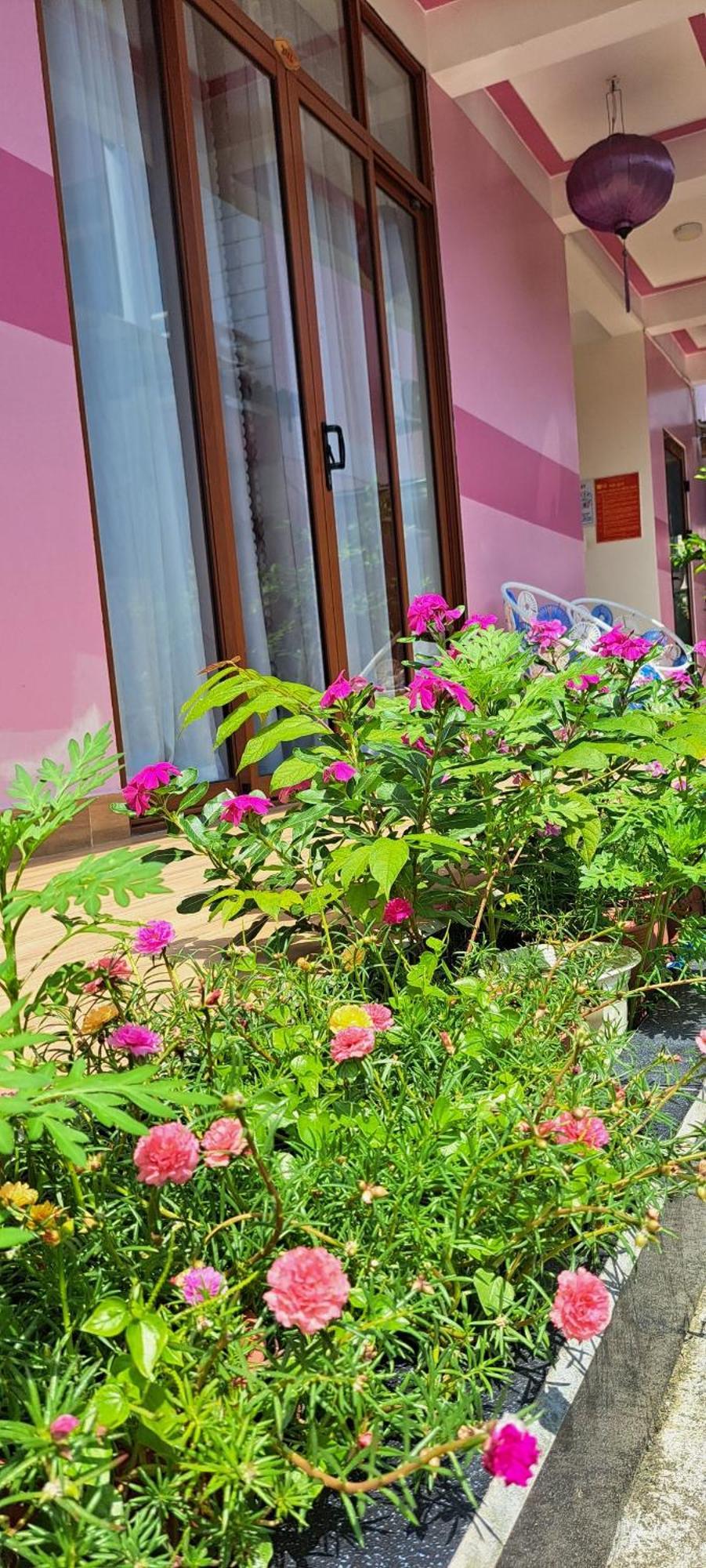 Pink House *