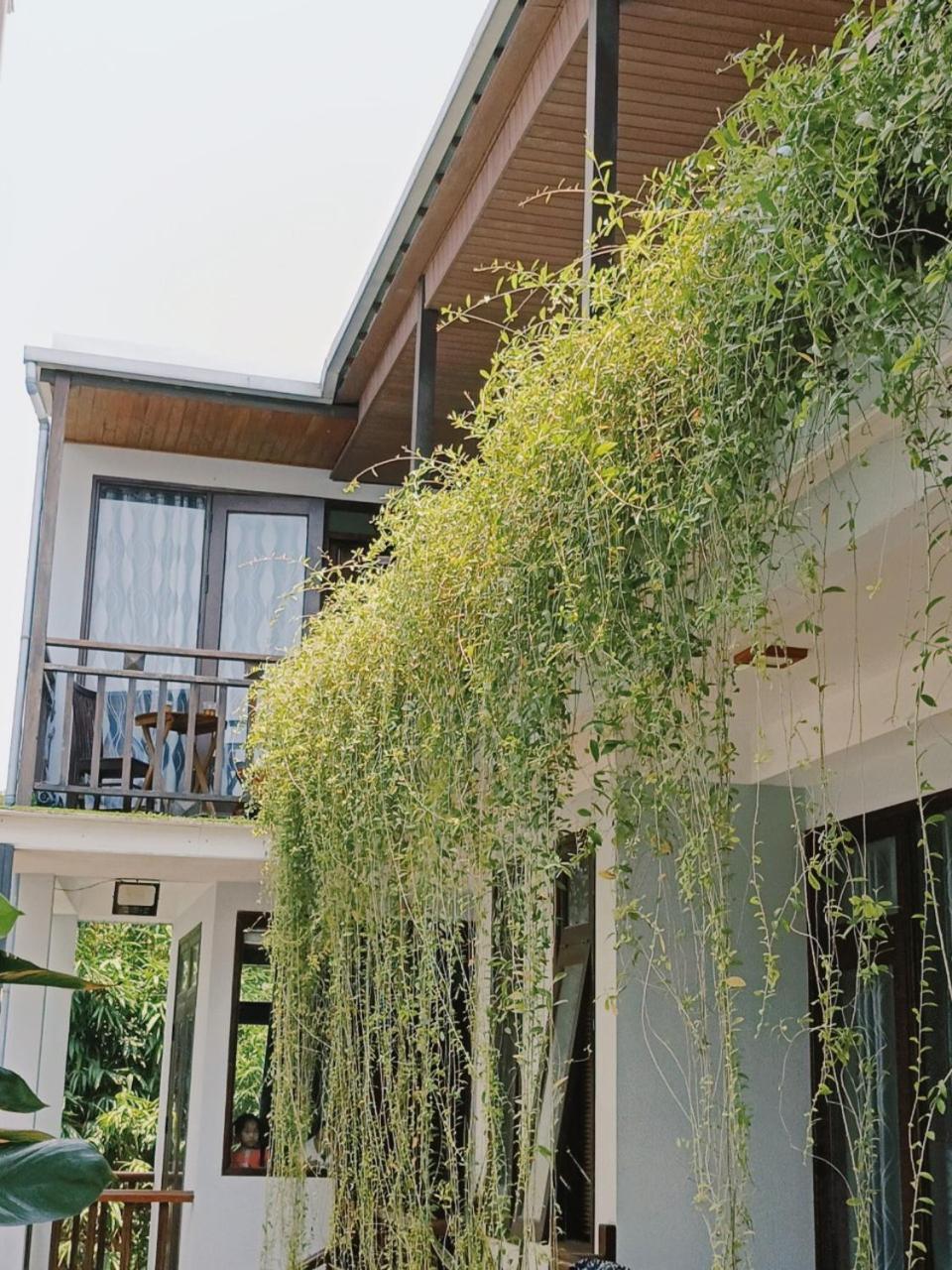 Riverside Plum Garden