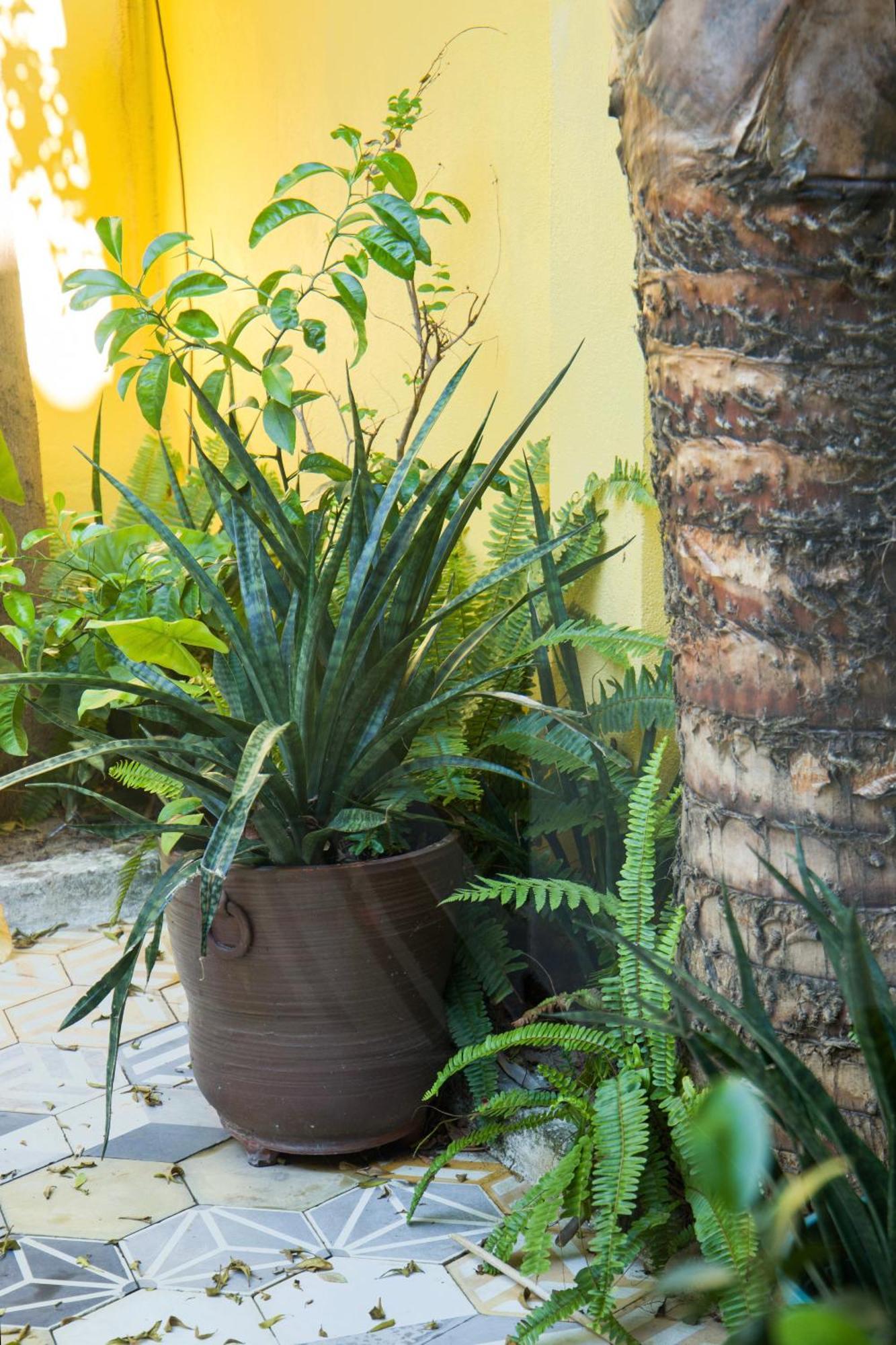 Rosie Villa Hoi An