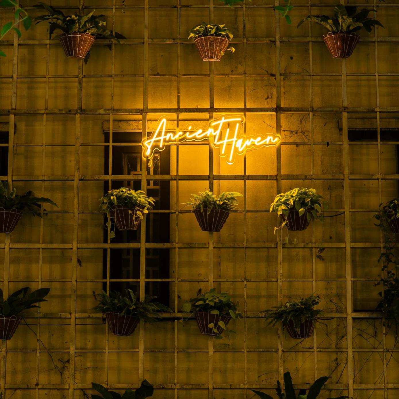 Hotel Ancient Haven 3*