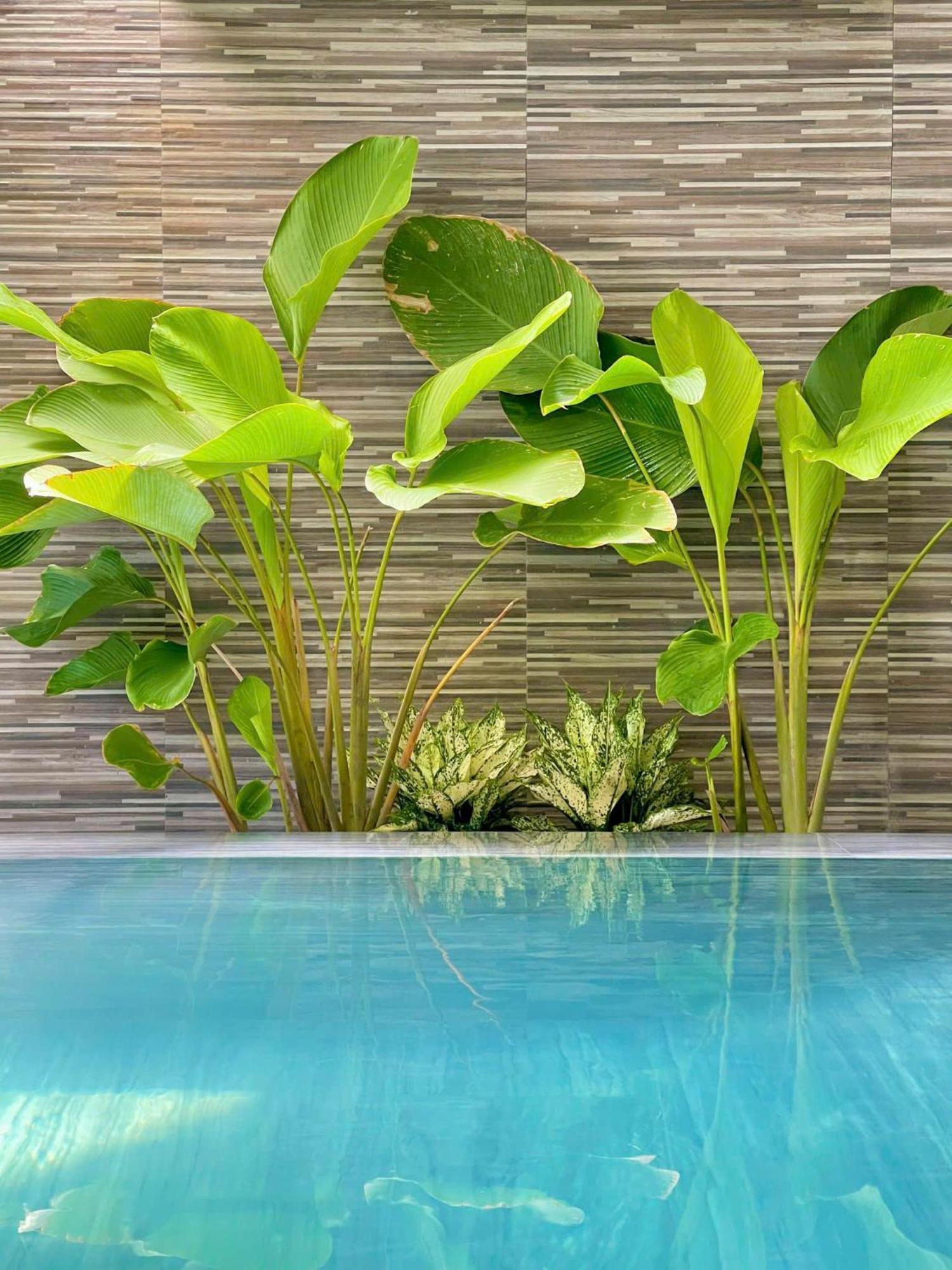 Villa Large Hoi An
