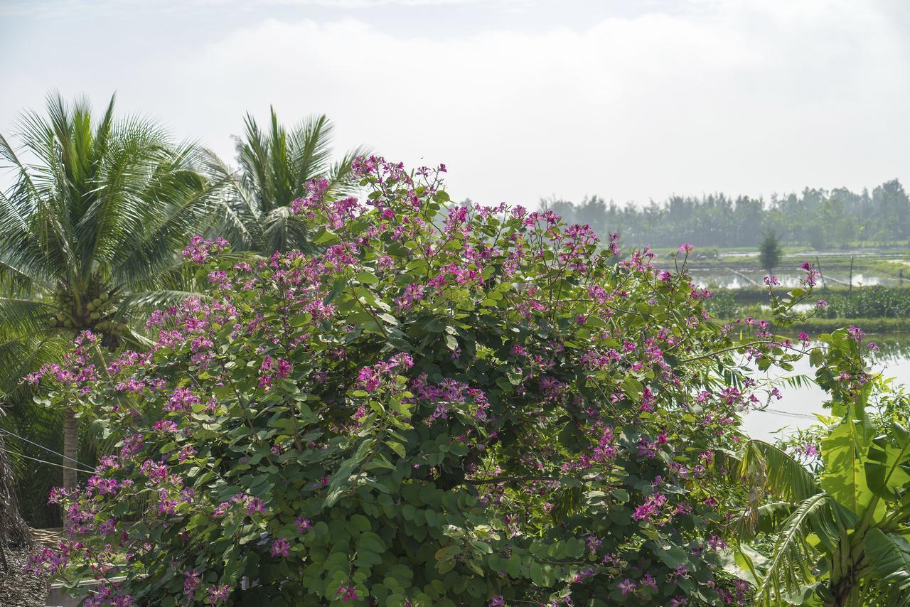 Luna Biệt thự