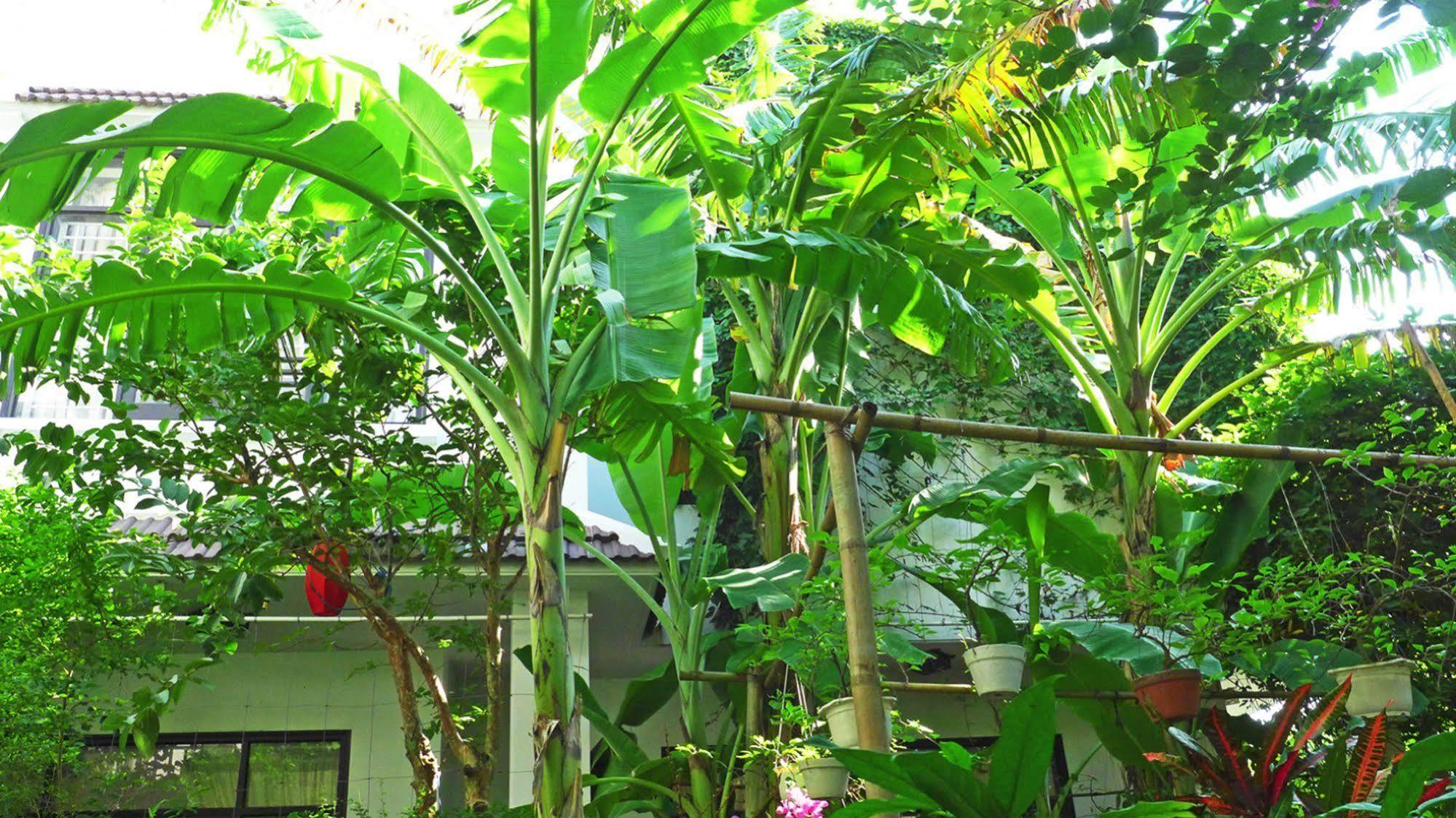 Villa East West *