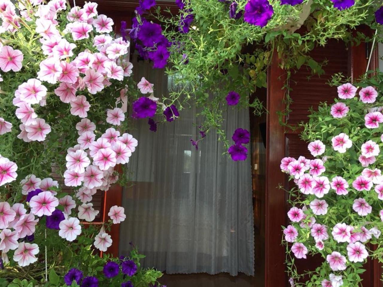 Resort Khamy Riverside 3*