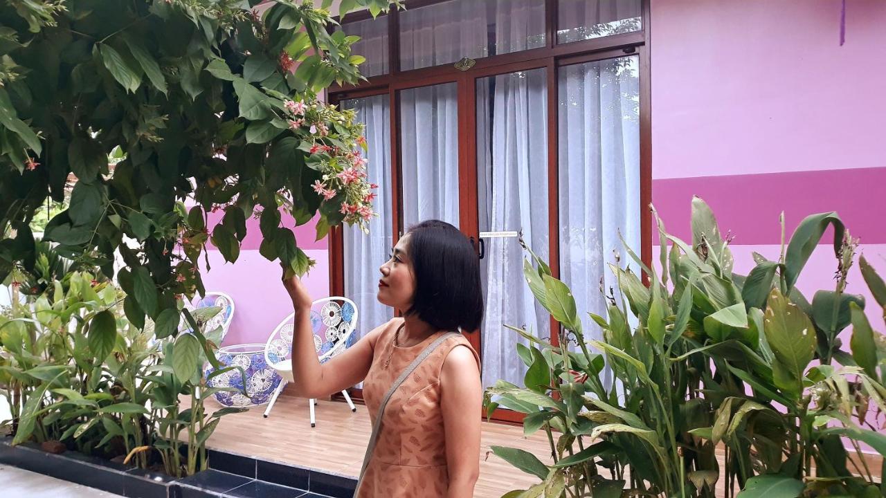 Pink House Hoi An