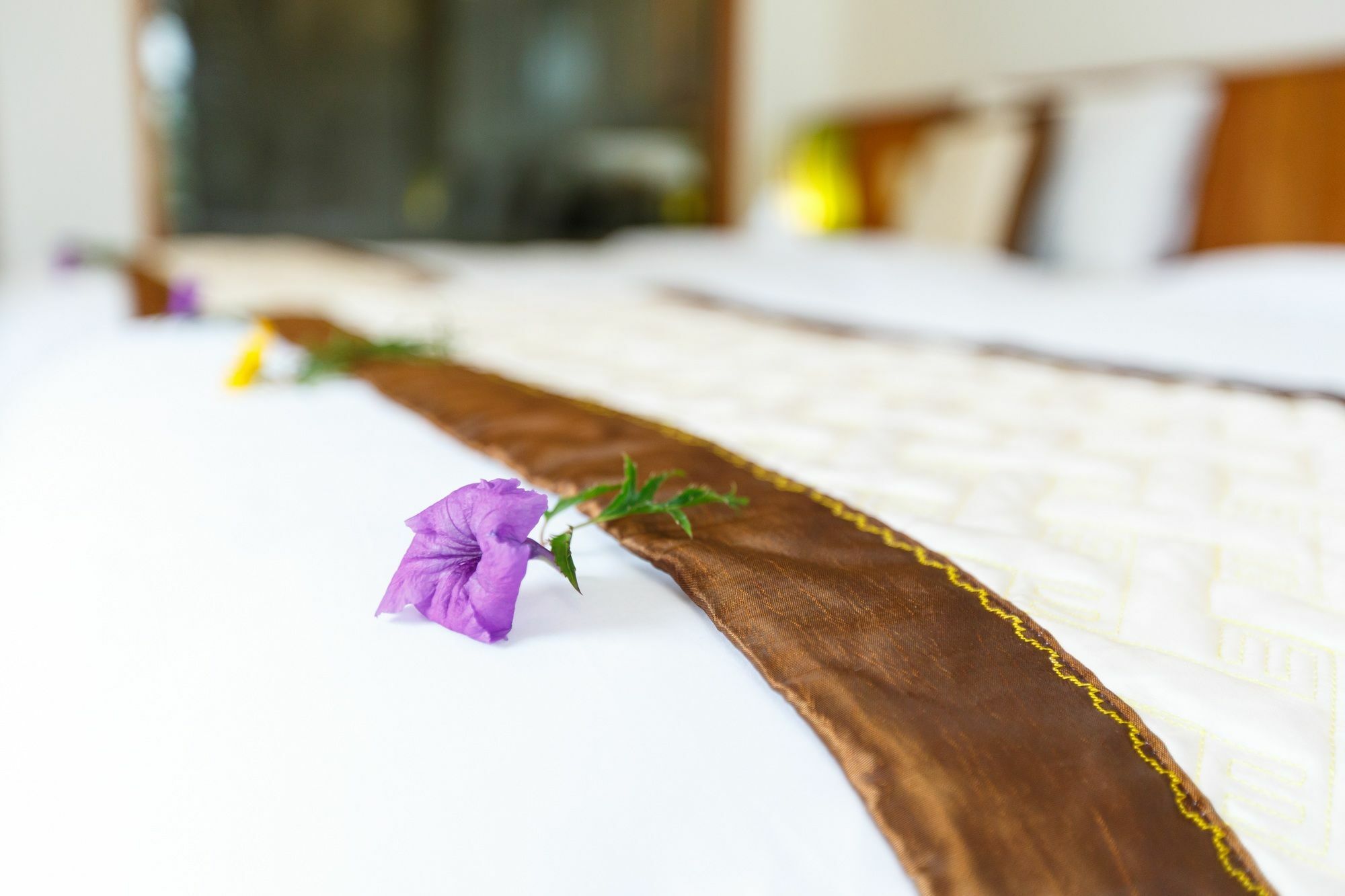 Lama Homestay Hoi An Hotel Hoi An
