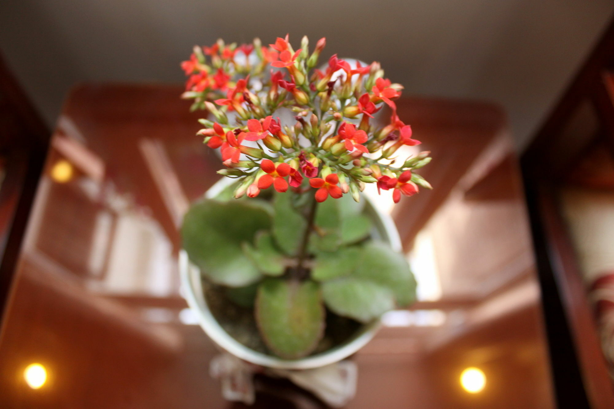 Homestay Green Coco