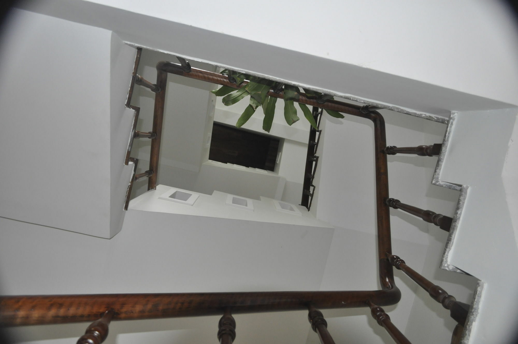 Green Coco Homestay Hoi An