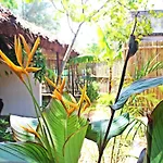 An Bang Purple Homestay