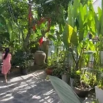 Sunny Garden Homestay
