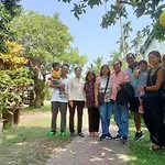 Green Areca Villa