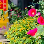 May\'S House Hoi An