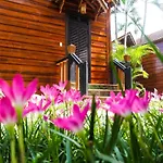 Pho Hoi Riverside Resort