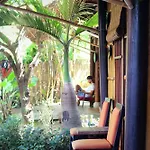 Under The Coconut Tree