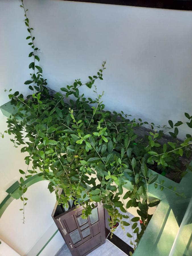 Gia Thành Ở trọ *