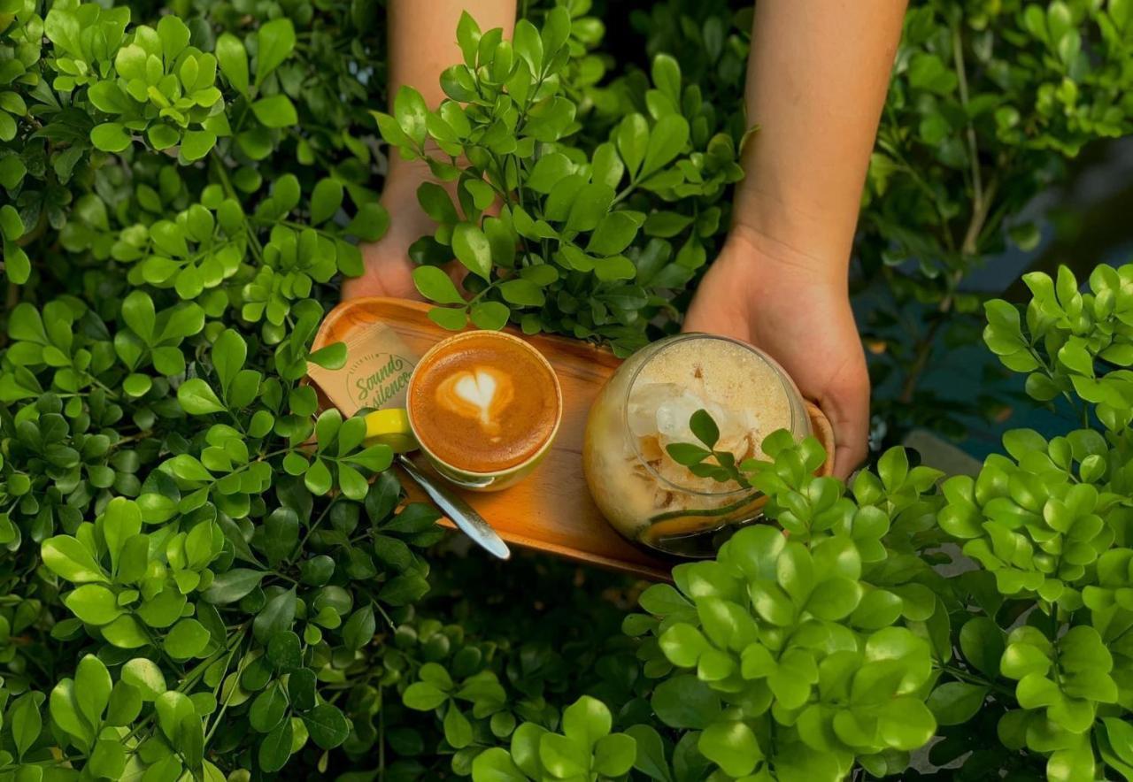 Tan Thanh Garden Homestay Hoi An