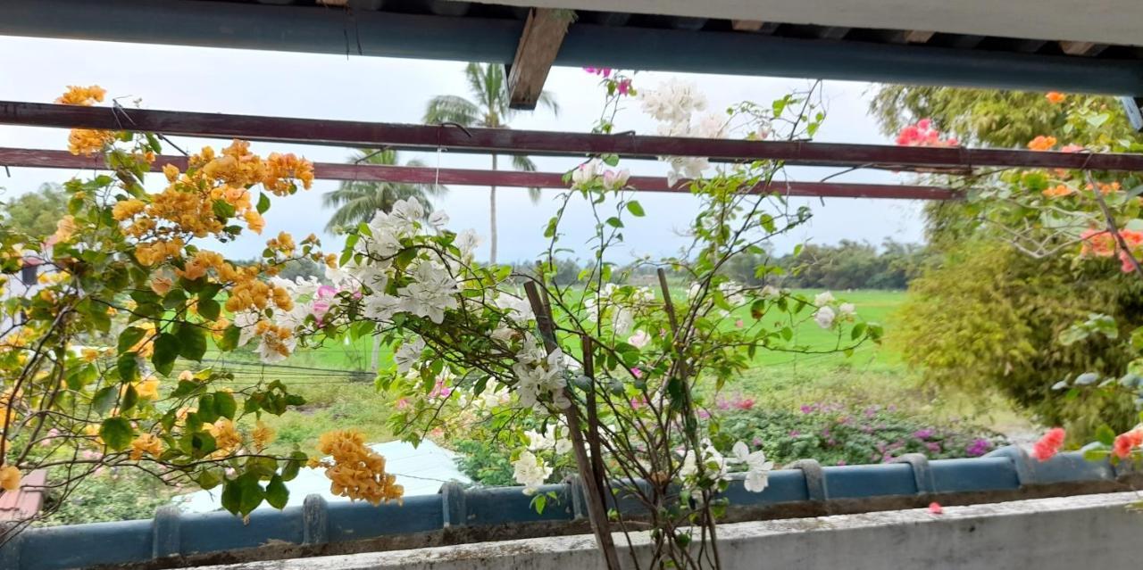 La Terrazza Bed & Breakfast 2*