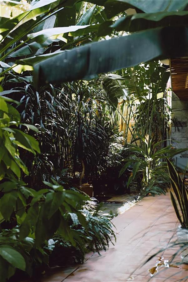 Villa Tropical *