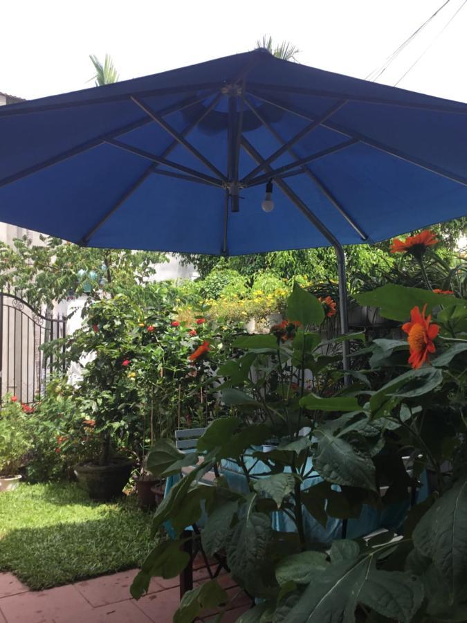 Star Garden Homestay Hoi An