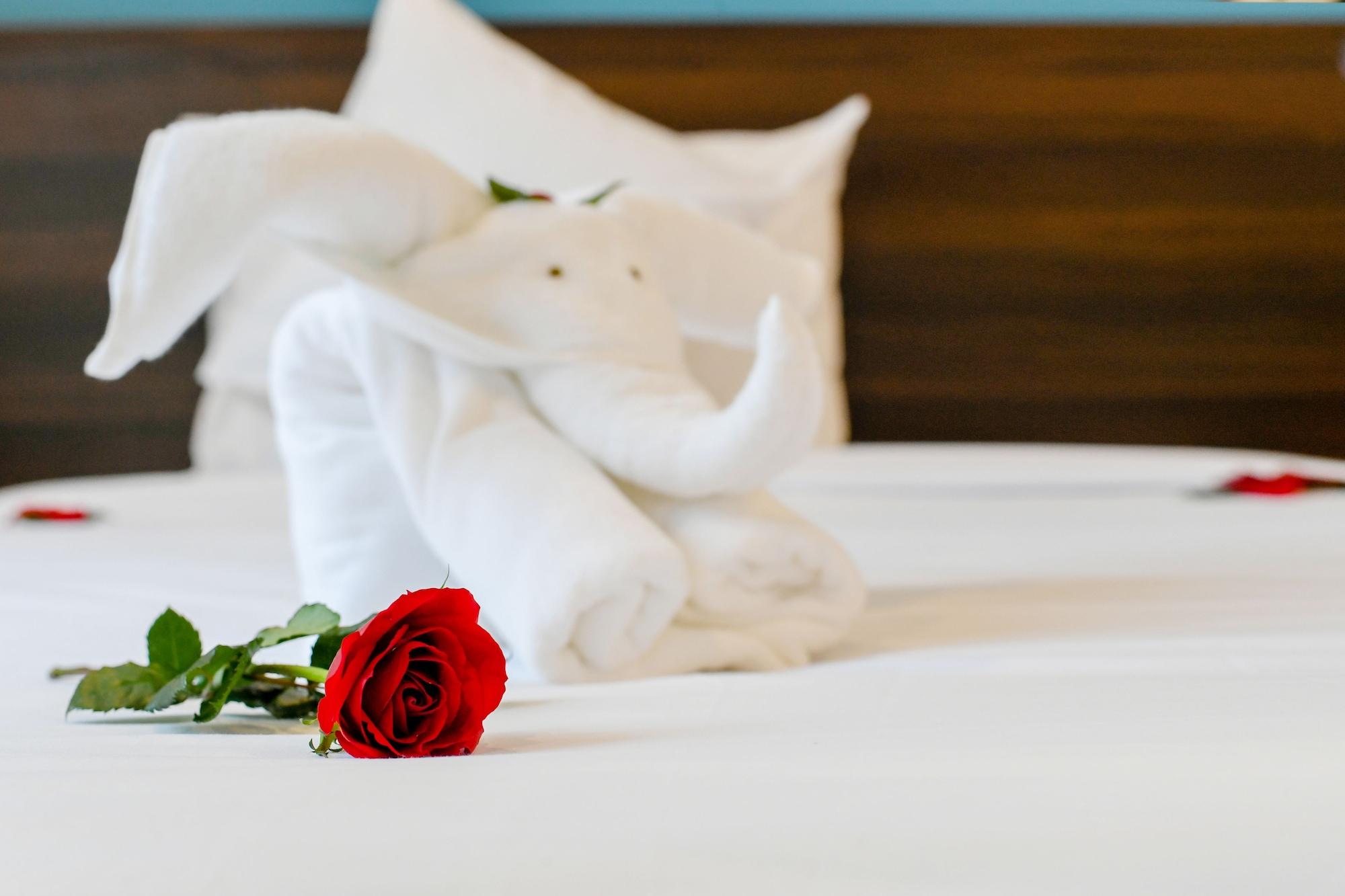 Hotel Dream