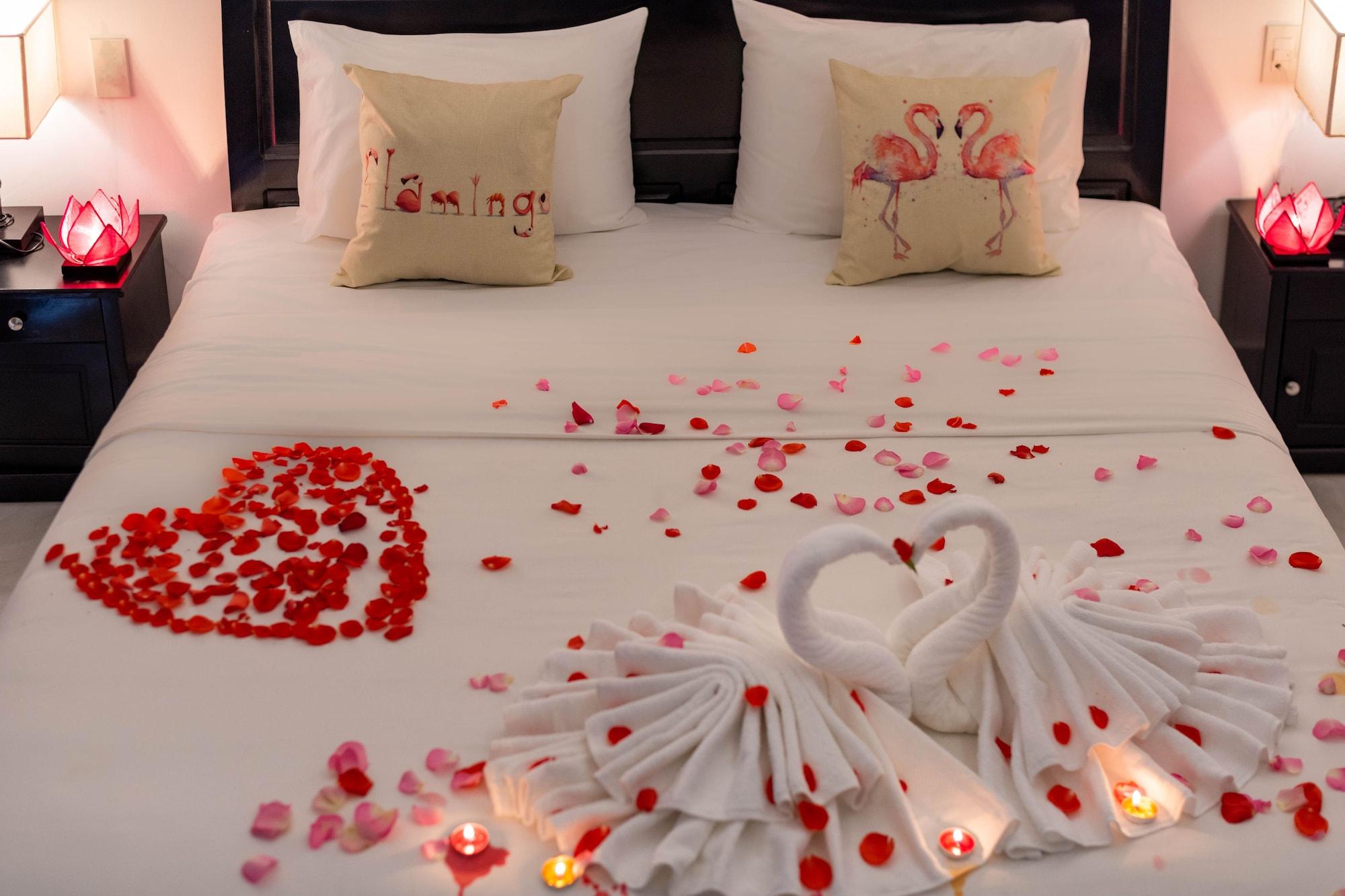 Flamingo - Big With Balcony - Close To Old Town 200m & Temple Bridge - Large Outside Pool For Sun Bathing *