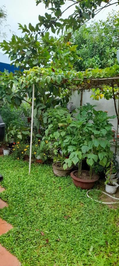 Star Garden Homestay Hoi An