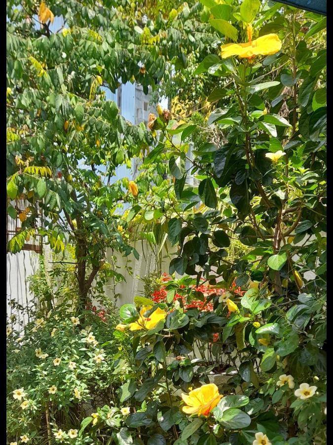 Star Garden * Hoi An