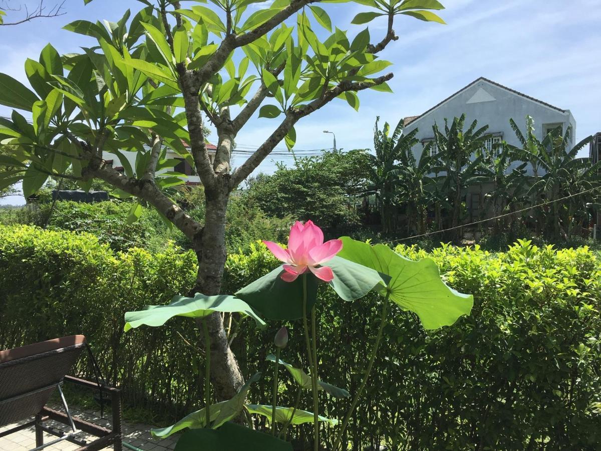 Zen Boutique - Eco-friendly Khách sạn