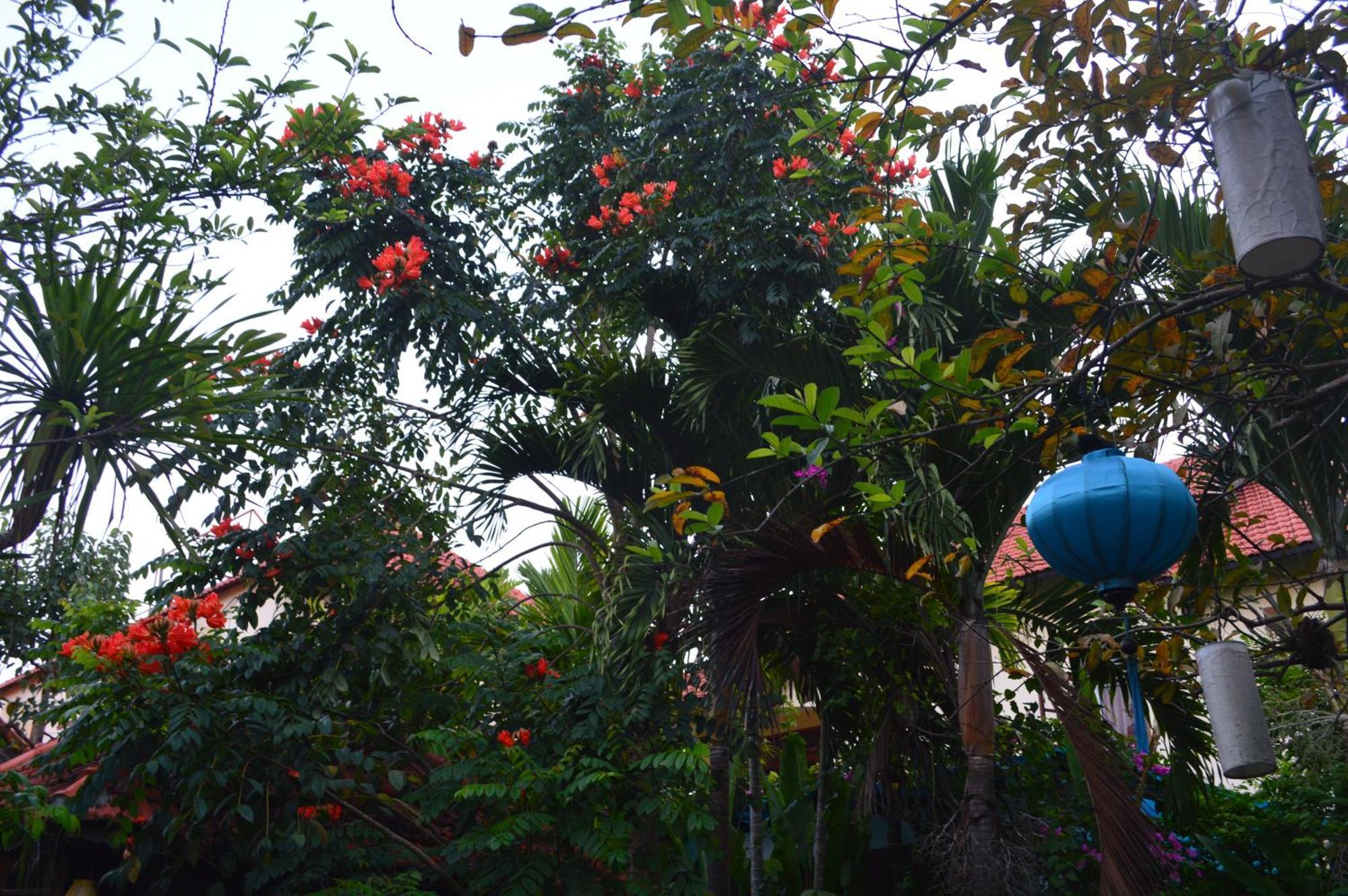 Villa Orchid Garden Riverside *