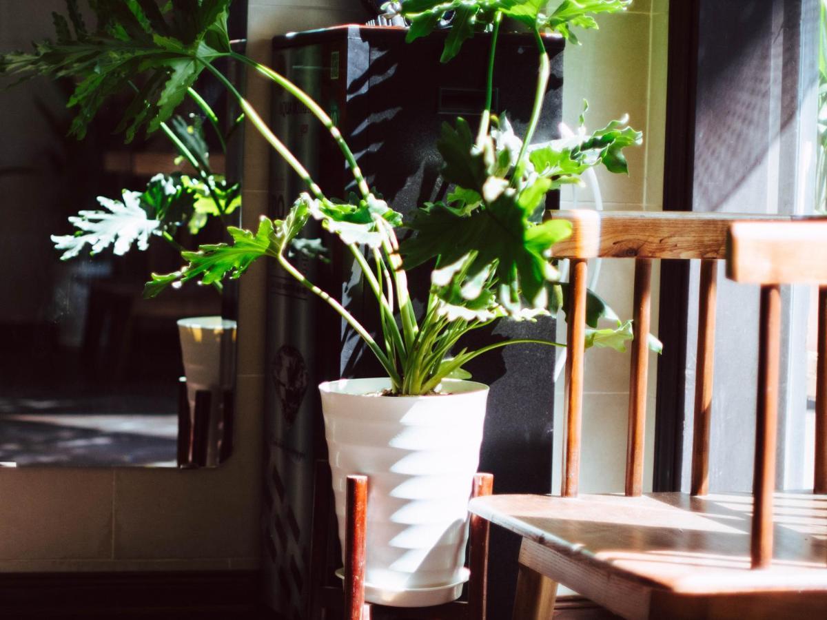 Hoianese Center - Truly Hostel *