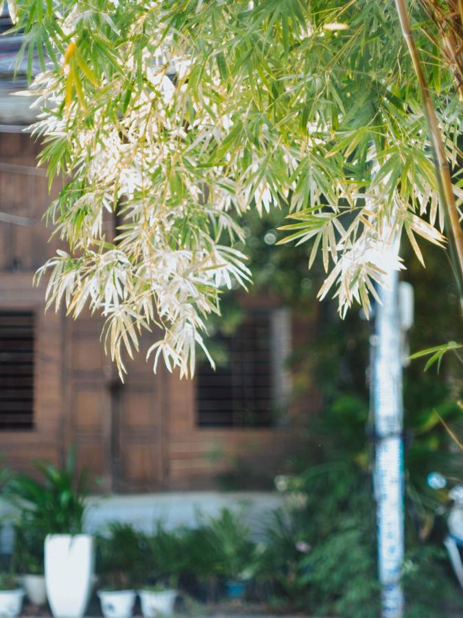 Hostel Hoianese Center - Truly
