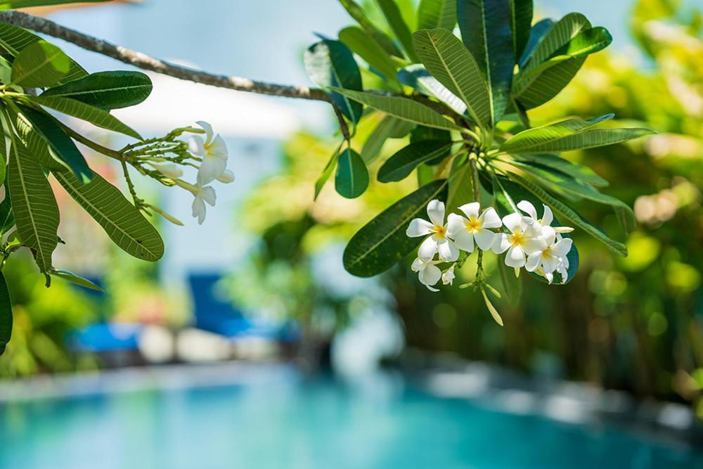 Coco Island Hotel Hoi An