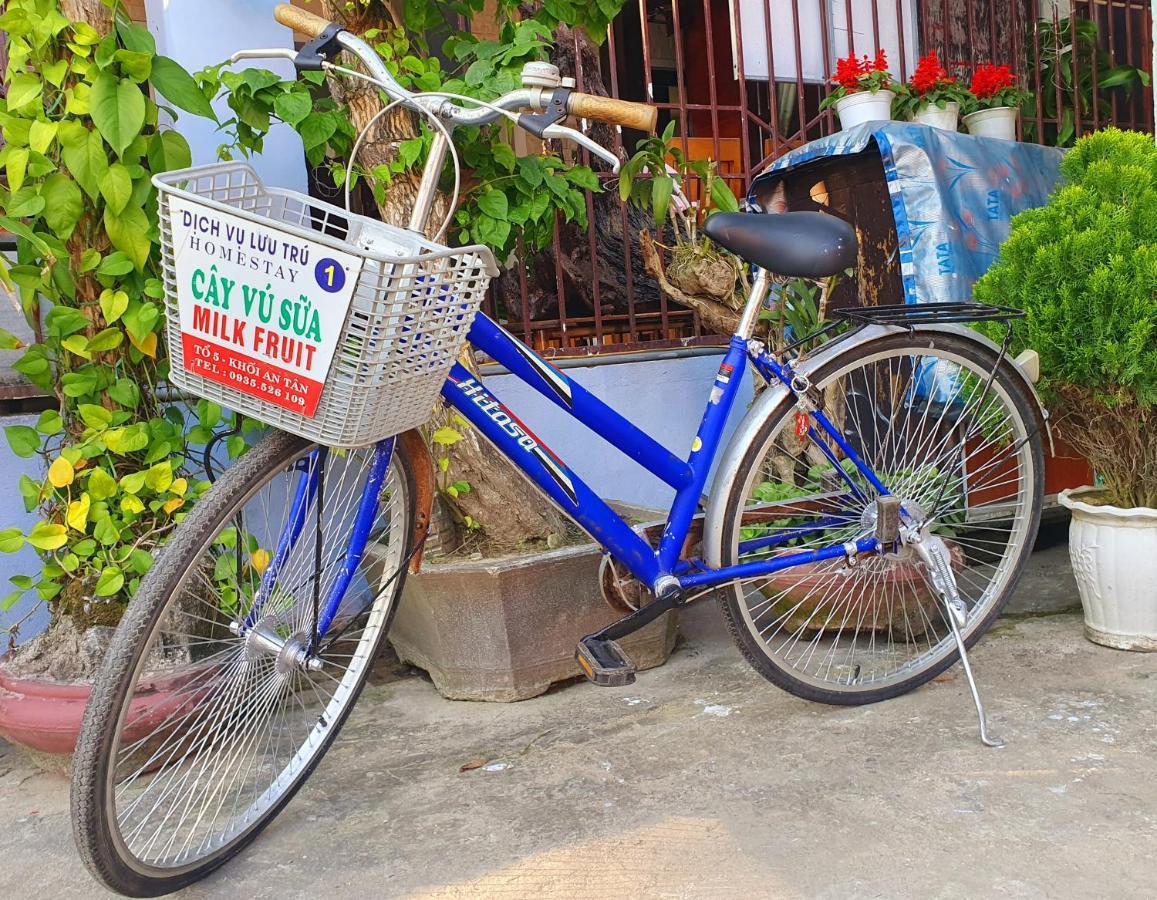 Milk Fruit - An Bang Homestay Hoi An