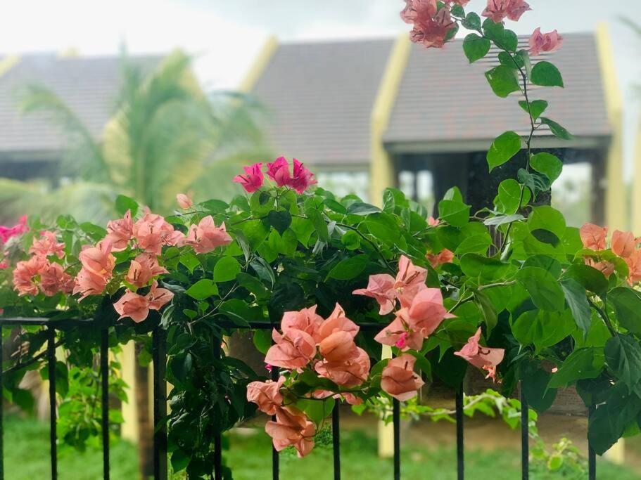 Casa - View Song Lang Man, Ho Boi Rieng Apartment *