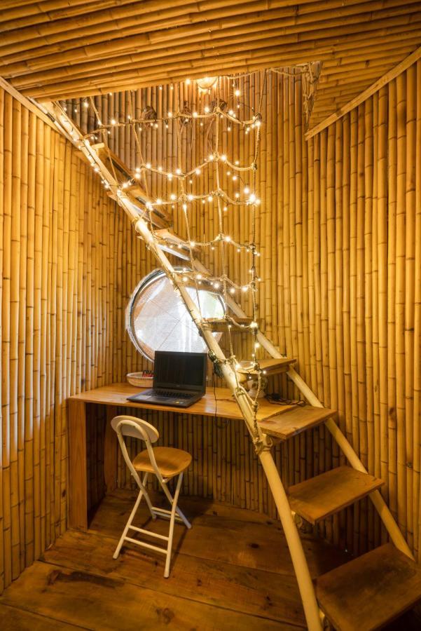 Cocohut Homestay