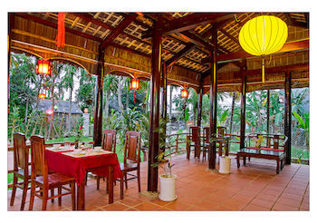 Areca