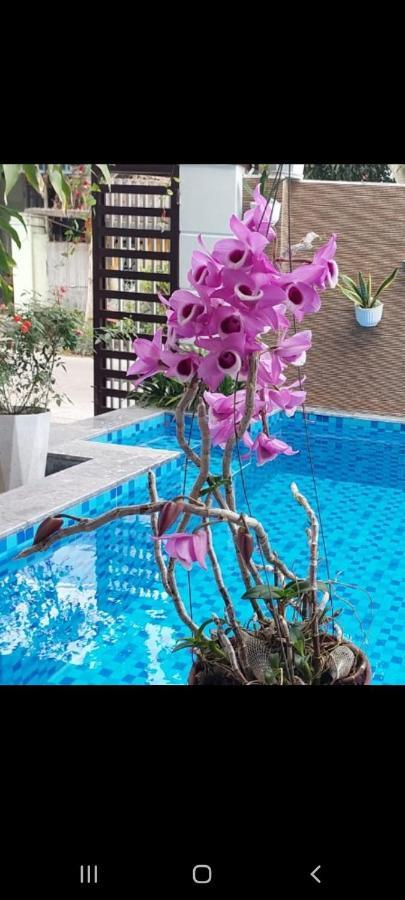 Homestay Riverlife *