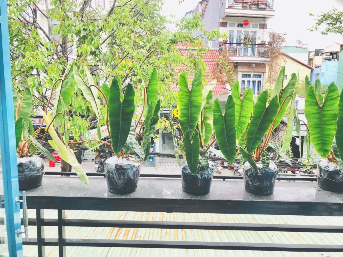 An's Family - 5mins Walk To Ancient Town Hoi An