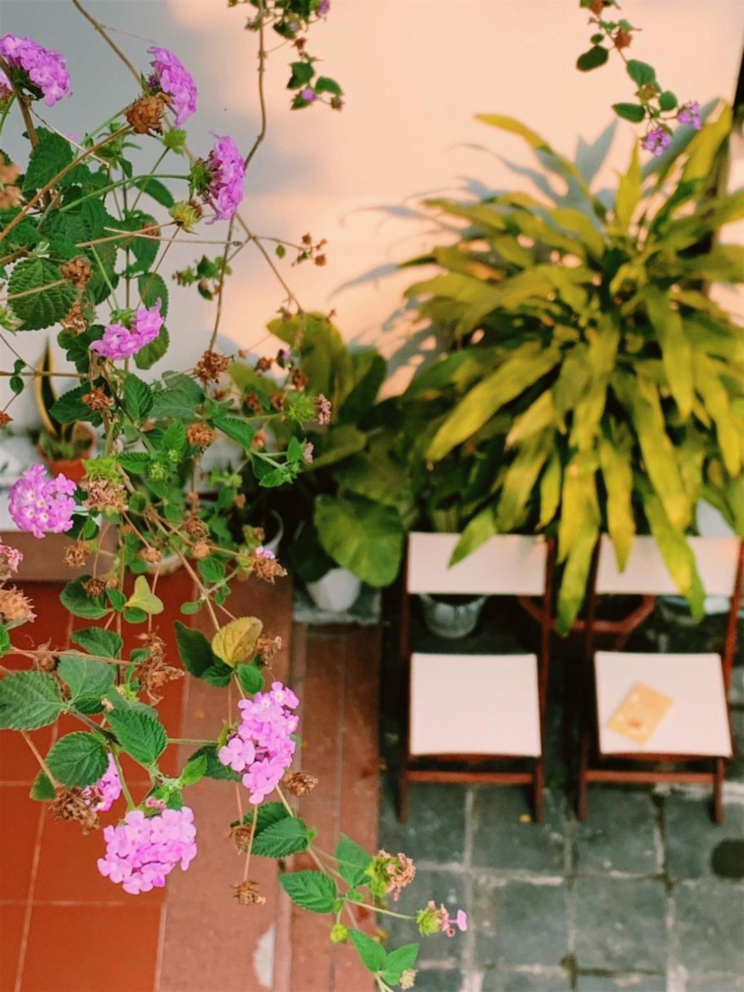 Homestay An Hien