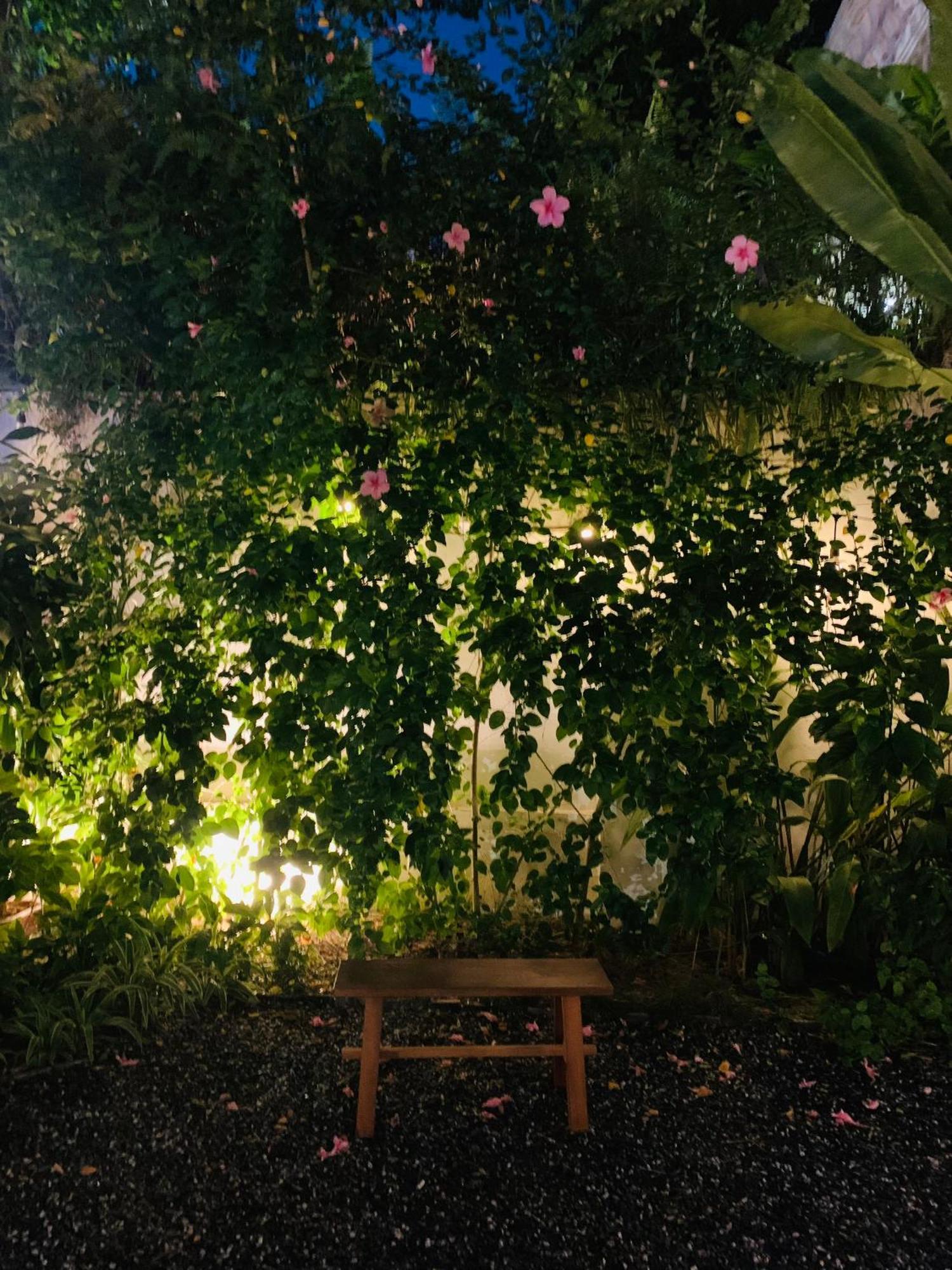 Homestay An Hien Hoi An