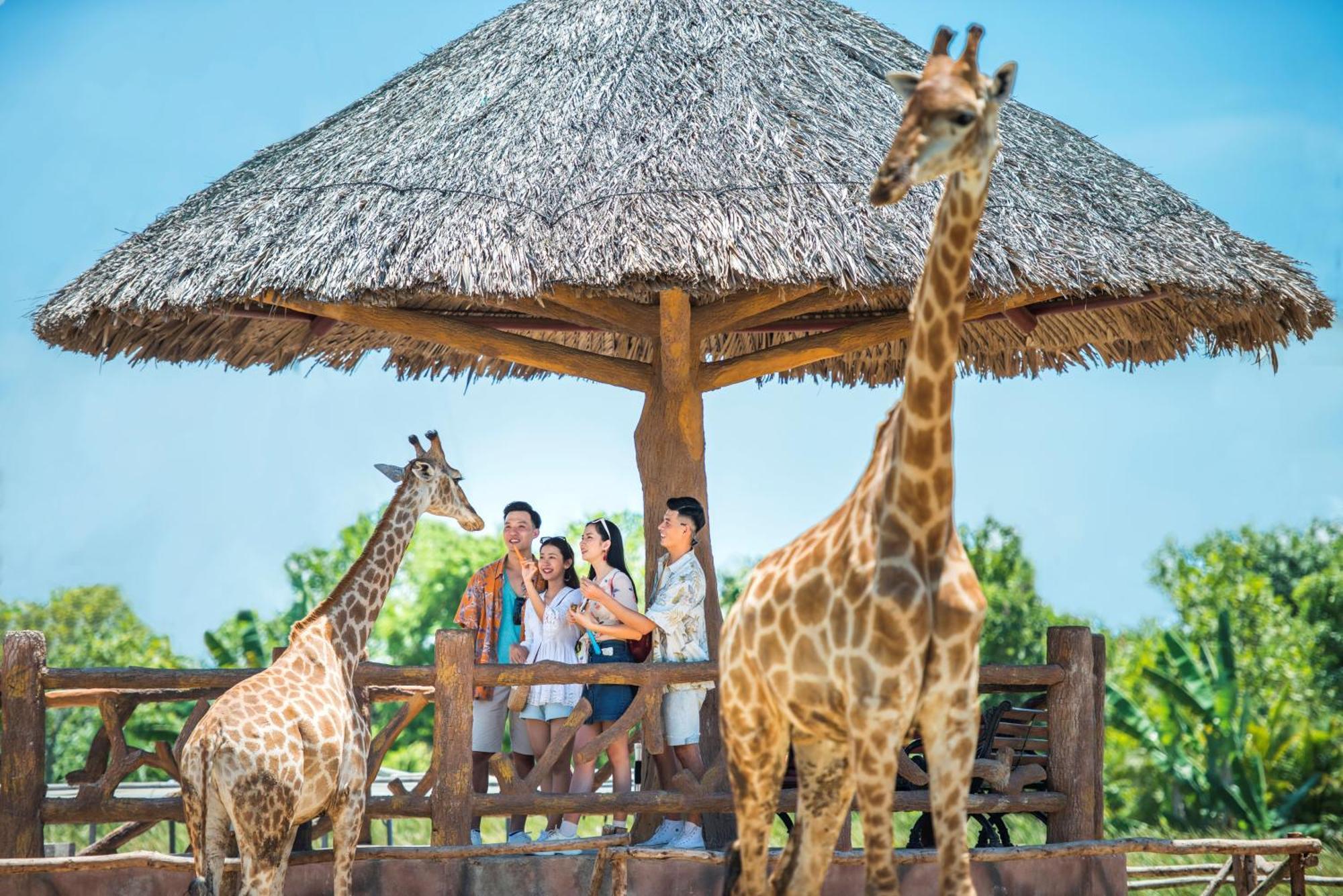 Vinpearl Resort&golf Nam Resort