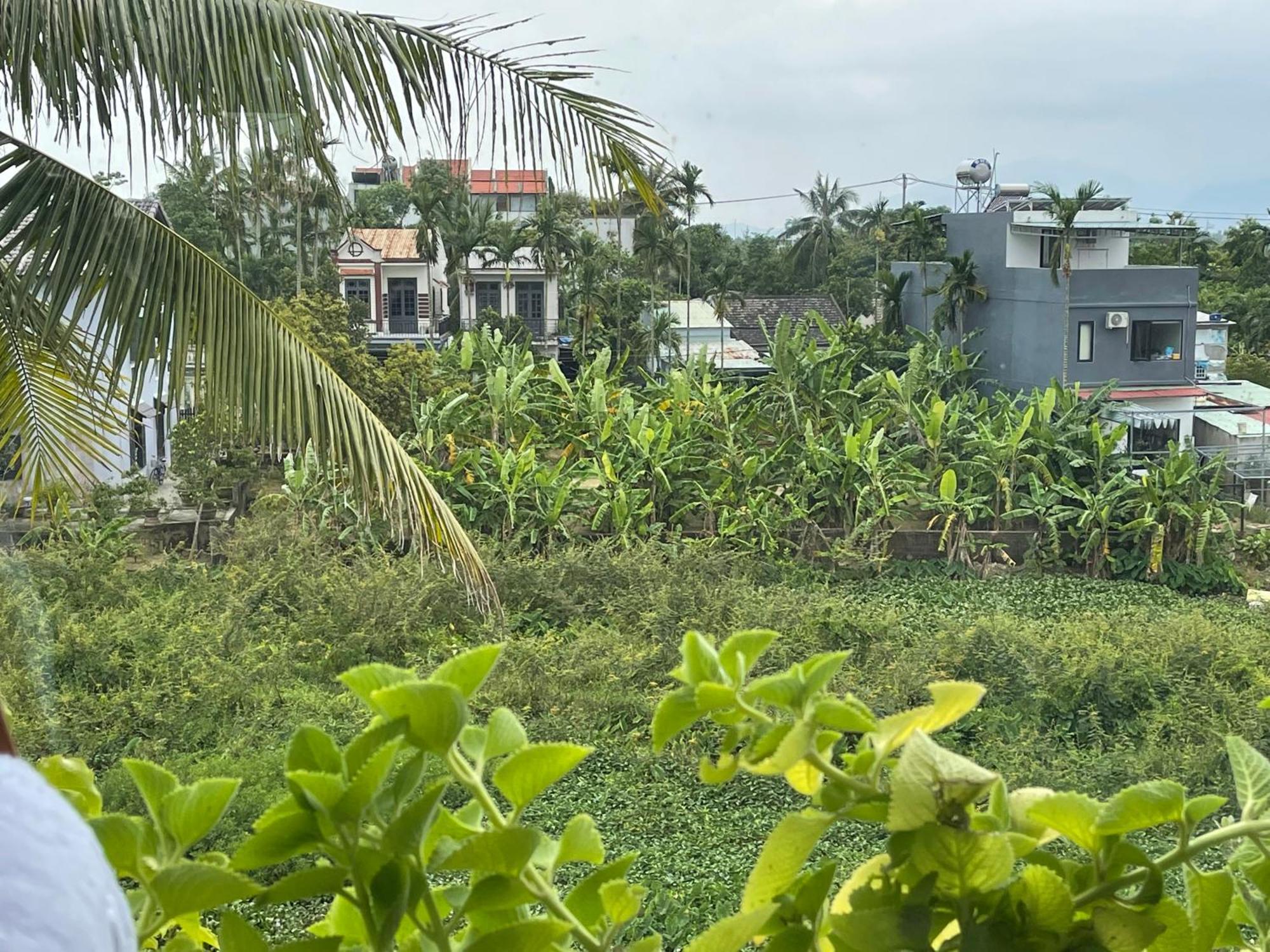 Villa Ti Hon House Hoi An