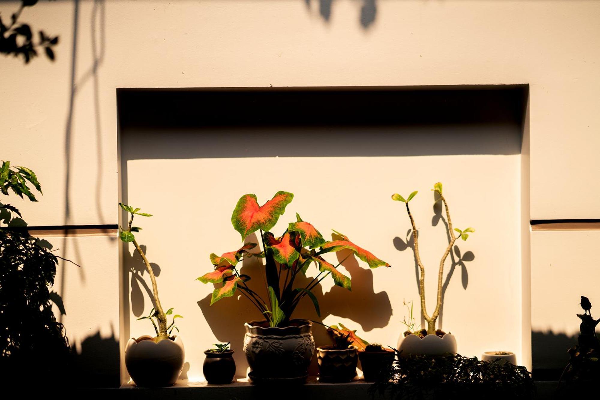 Garden Sea Homestay Hoi An