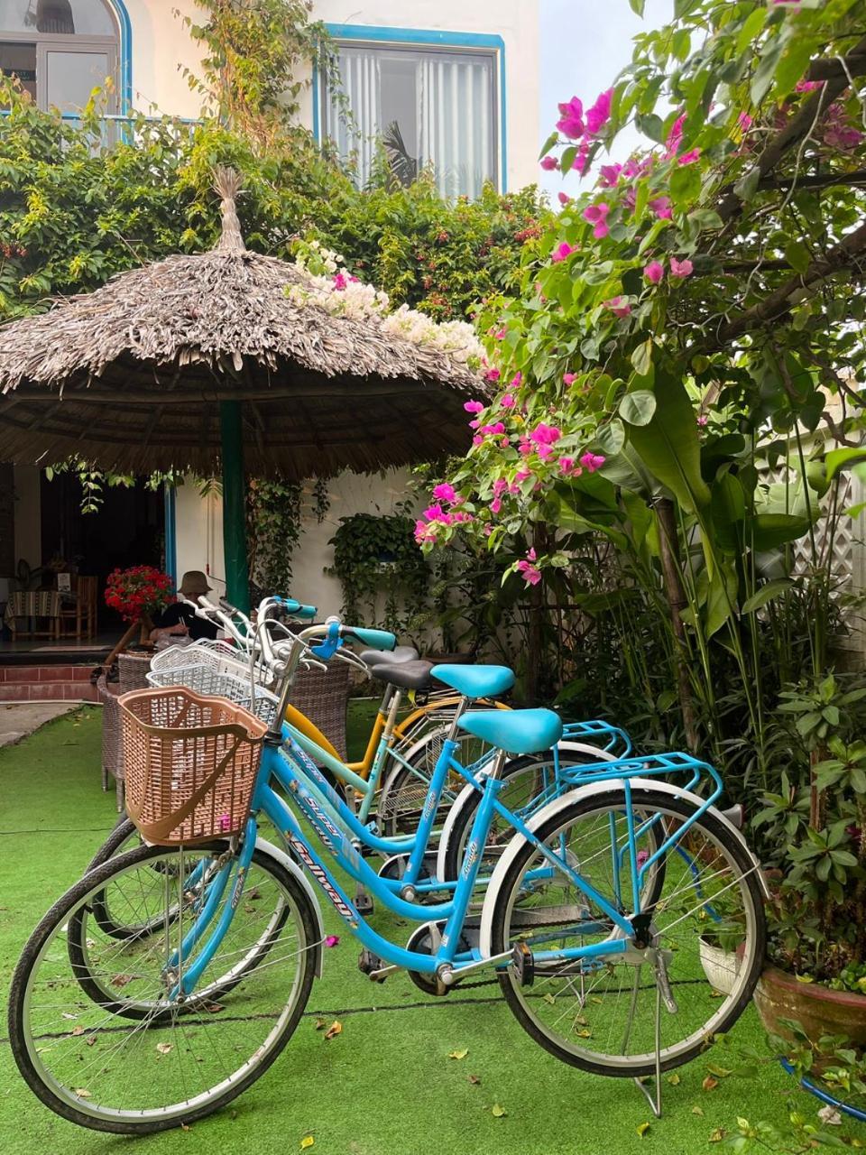 Homestay Paddy House Hoi An