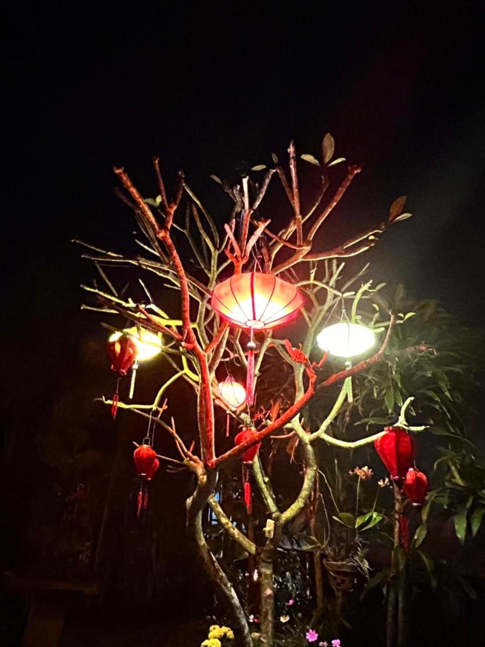 Areca * Hoi An