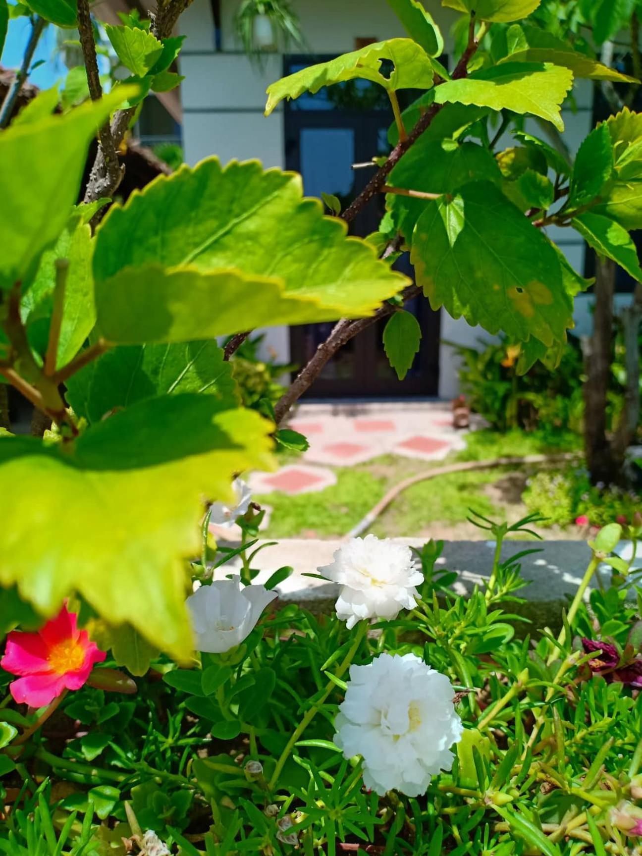 Garden Sea Hoi An
